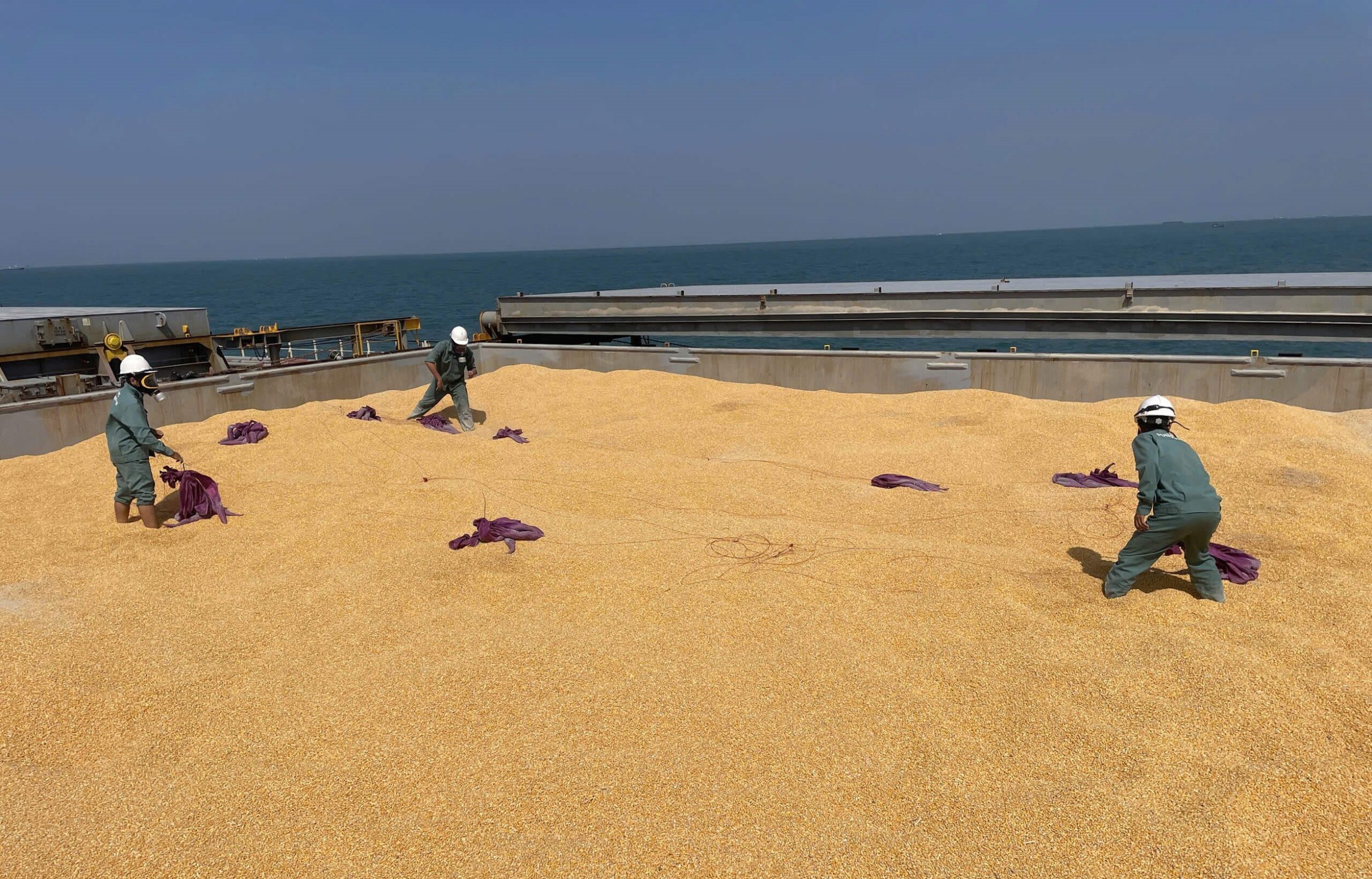 khu-trung-mb-va-phosphine