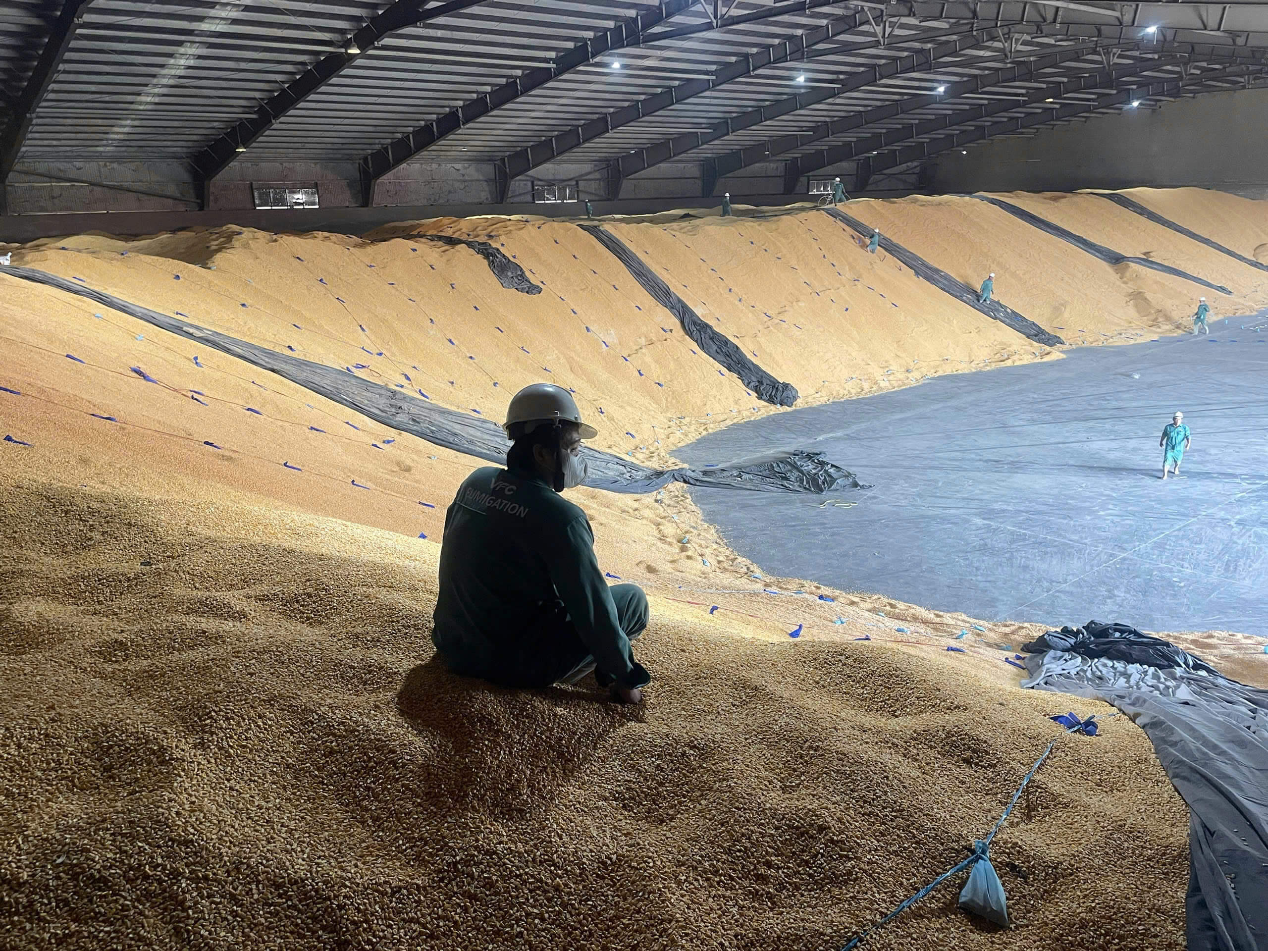 cac-loai-hang-hoa-can-khu-trung-truoc-khi-xuat-khau