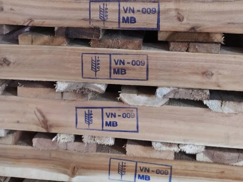 khu-trung-bang-methyl-bromide-mb-vfc