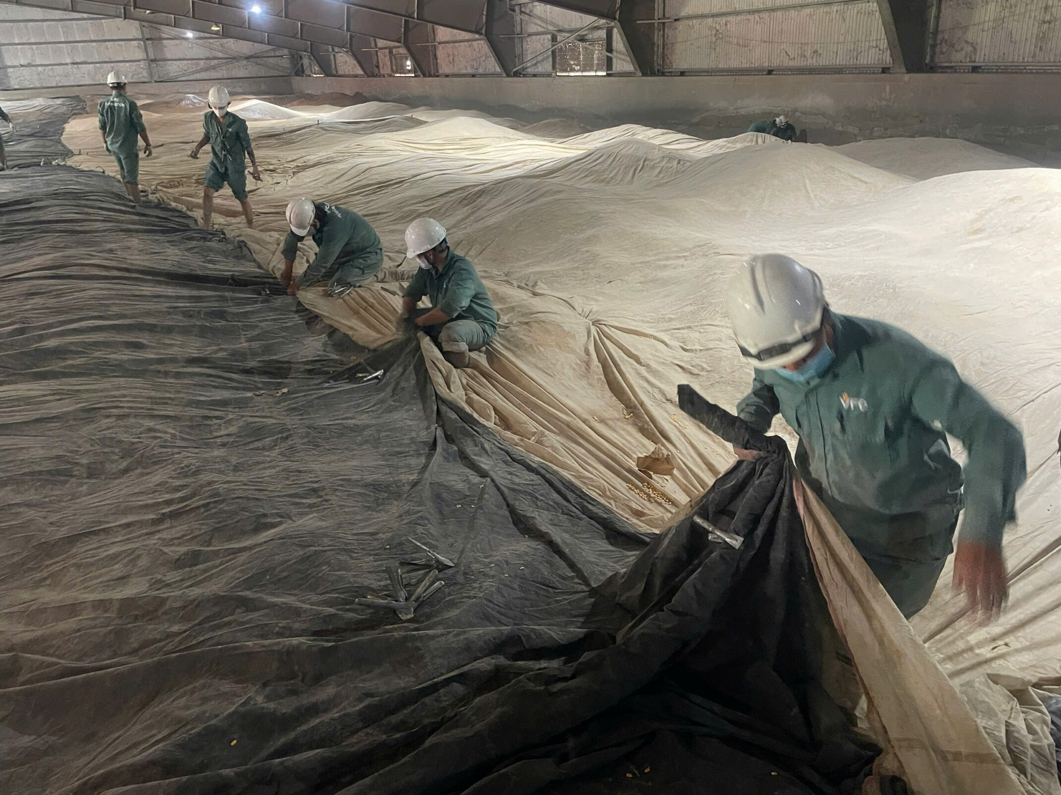 fumigation.vn