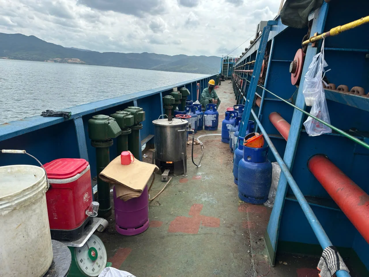 fumigation.vn