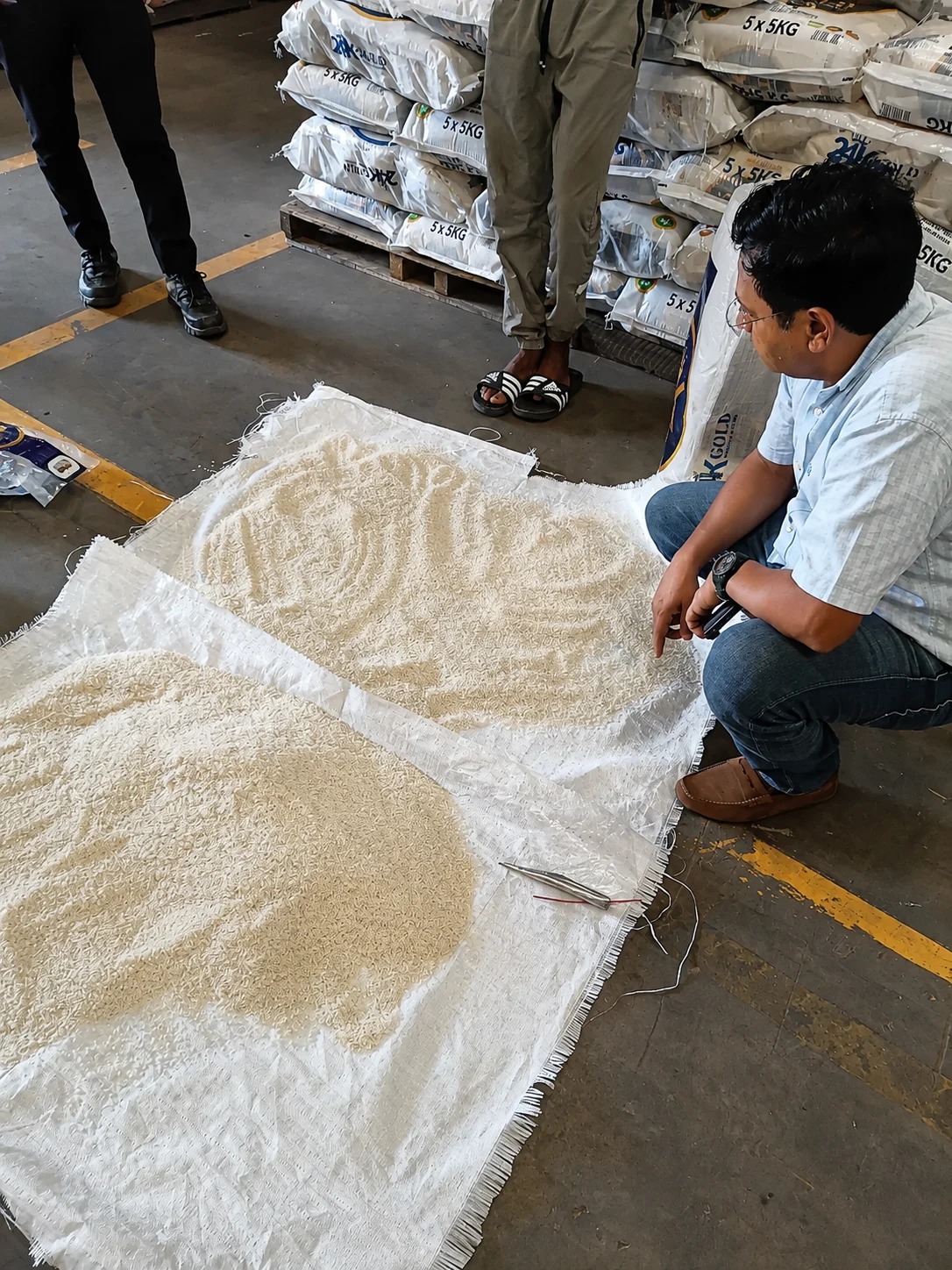 fumigation.vn
