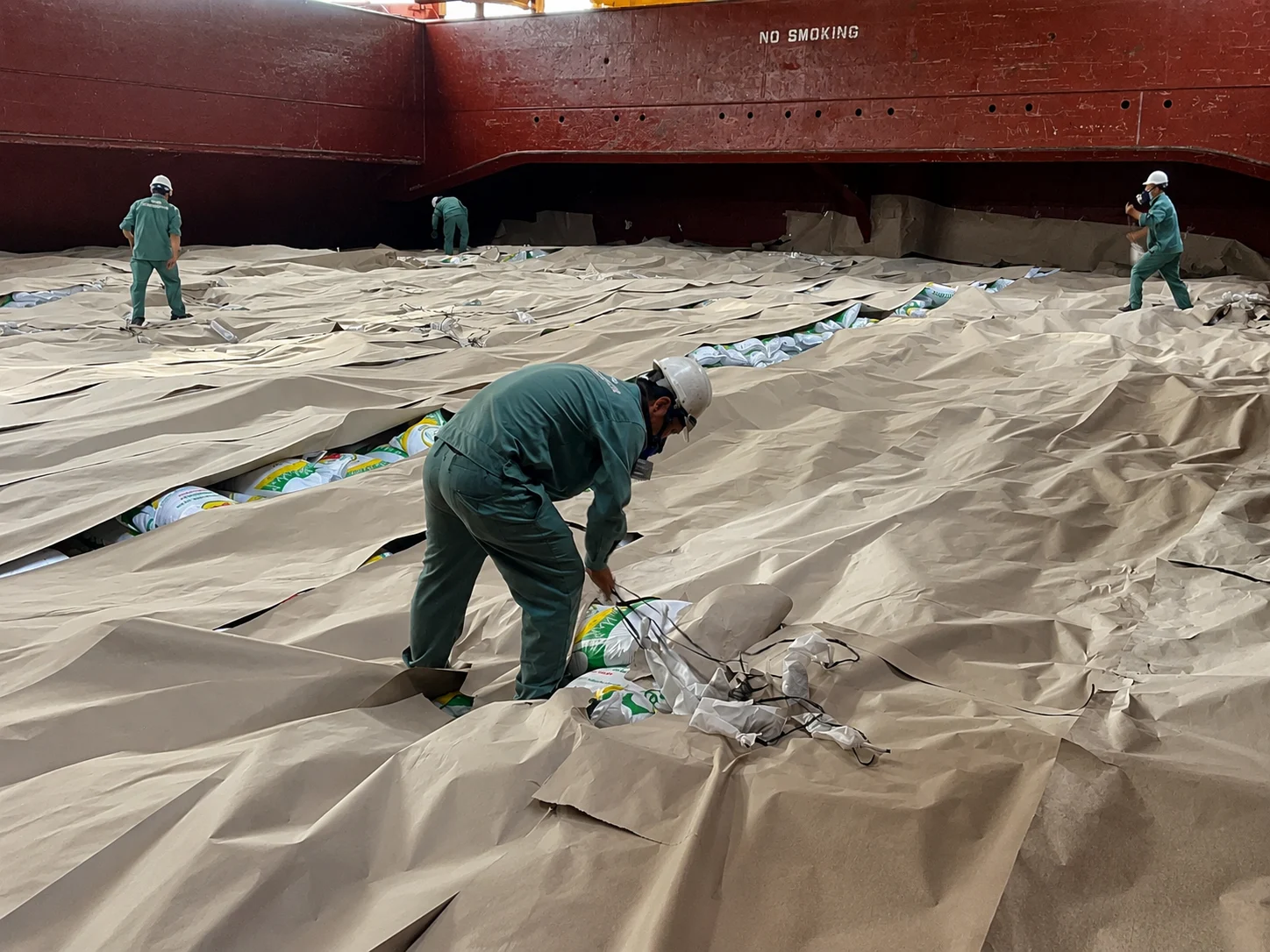 fumigation.vn