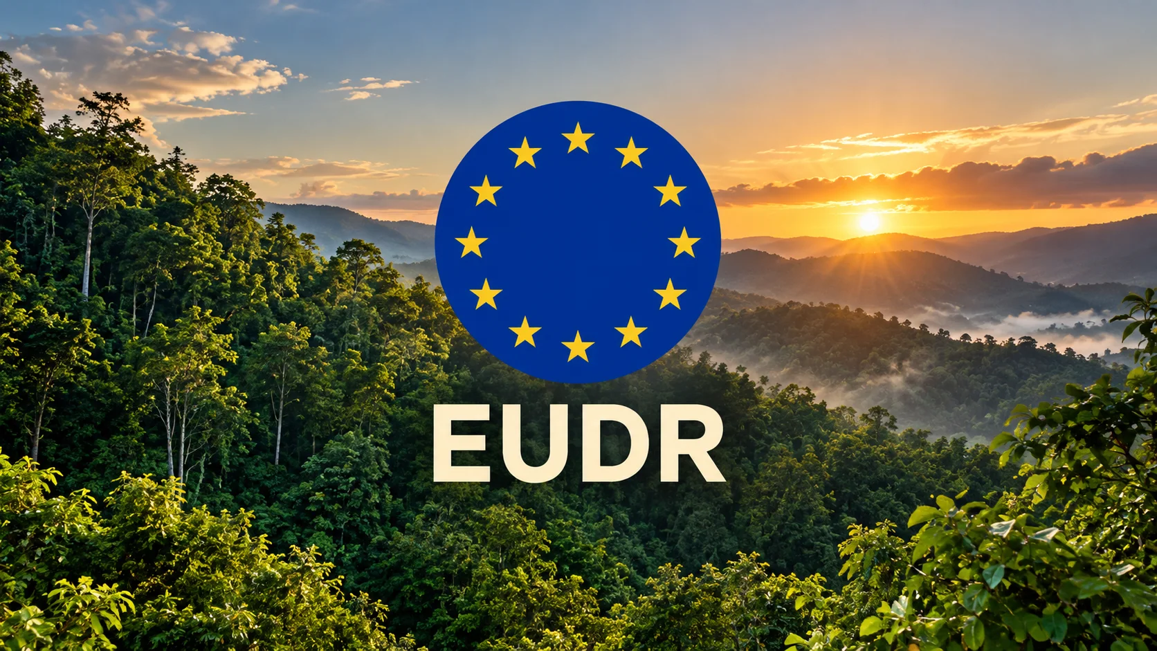 EUDR ngành gỗ xuất khẩu